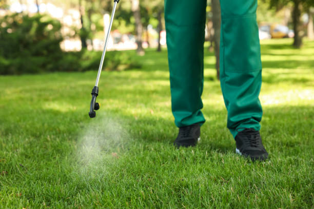 Professional Pest Control in Baldwin, MI