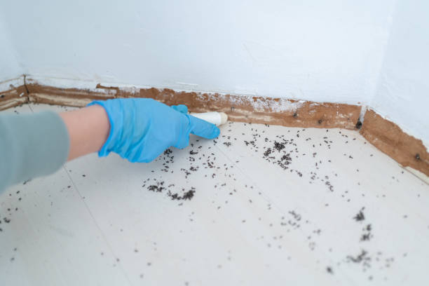 Best Emergency Pest Control  in Baldwin, MI